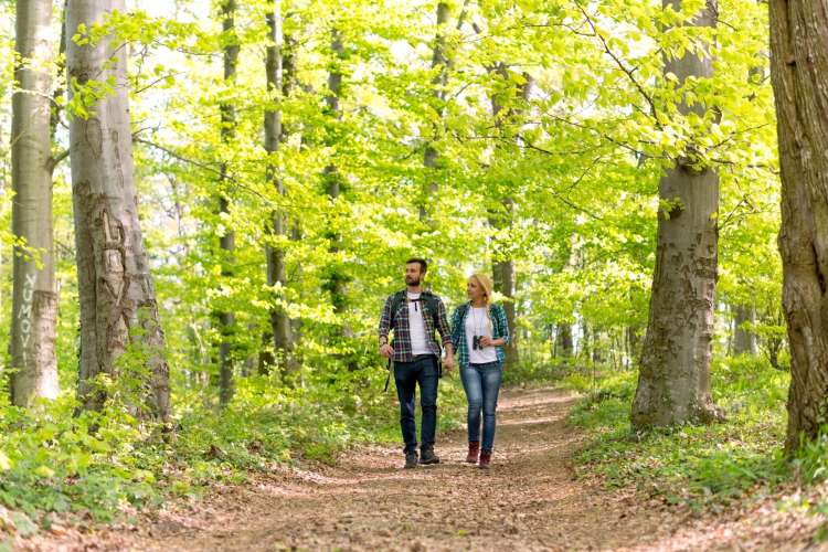 a couple walks arm in arm through a leaf-strewn forest