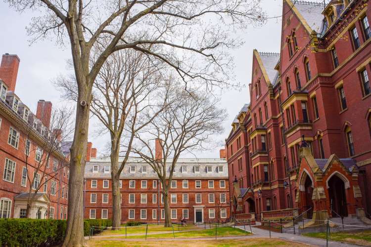 Harvard's campus is one of the best things to do in Boston