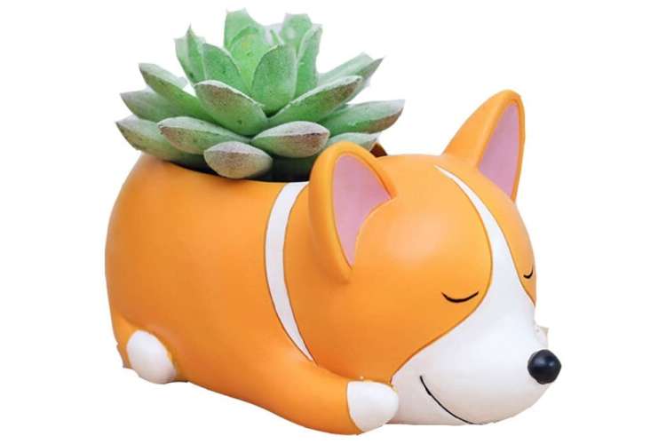 miniature corgi succulent planter