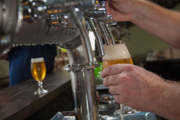 a bartender pours a draft beer