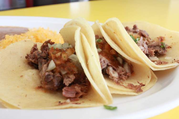 a plate of soft flour tacos