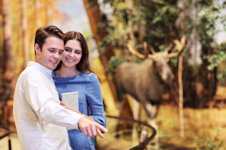 A man and woman looking at an exhibit in a nature museum