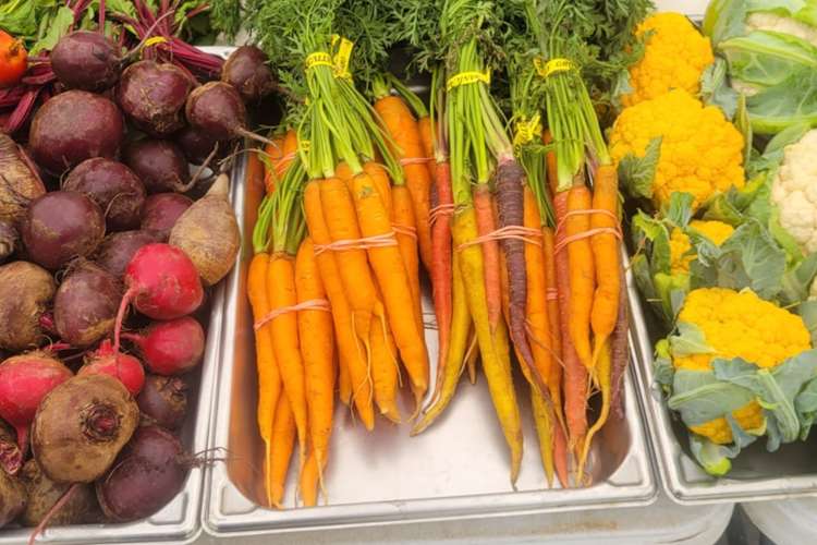 a selection of fresh carrots, turnips, and cauliflower