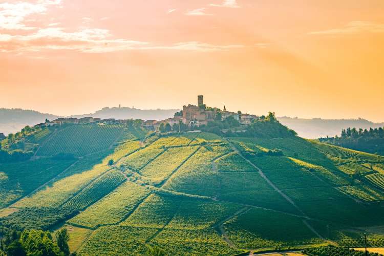 The Piemonte Italian wine region produces the famous Barolo