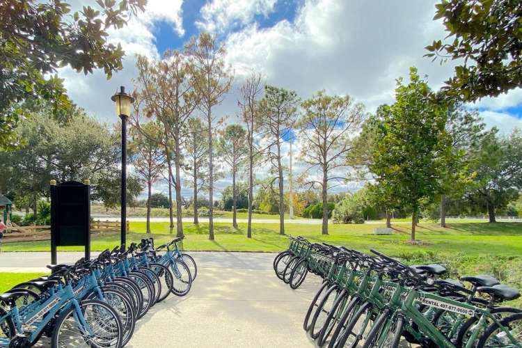 two lines of bikes sit in a bright, green clearing at West Orange Trail