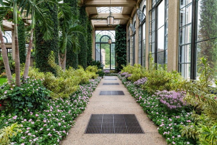 Longwood Gardens is a great venue for a team building activity in Philadelphia.