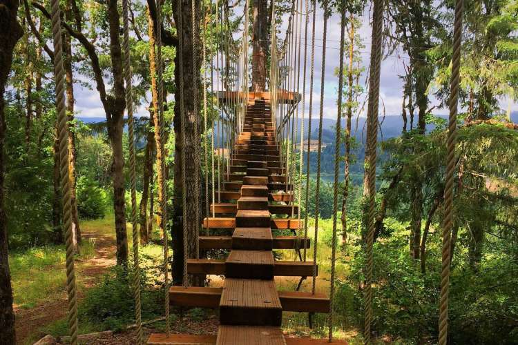 a wooden bridge across a vibrant expanse of trees and sky