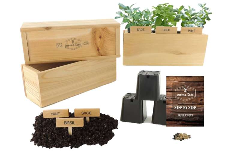 a herb garden kit is a great cozy gift