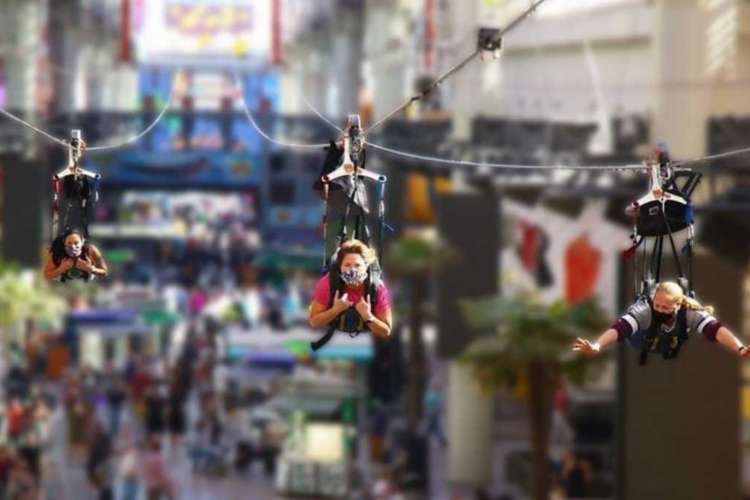 Team Building Activities in Las Vegas | 15 Best in 2024 | Cozymeal