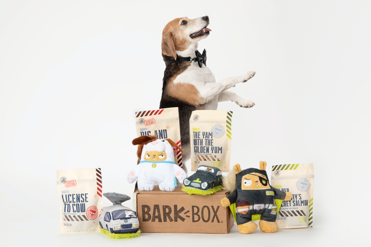 a barkbox subscription box with a beagle