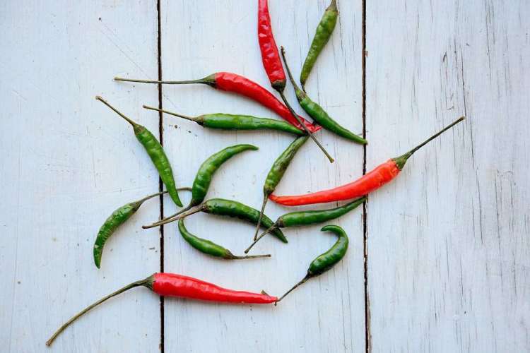 peppers are one of the most popular summer vegetables