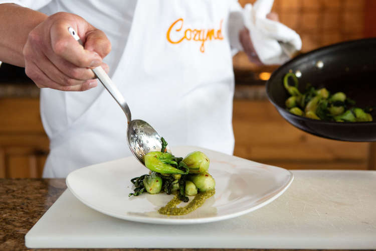 private chef on cozymeal plating sauteed baby bok choy