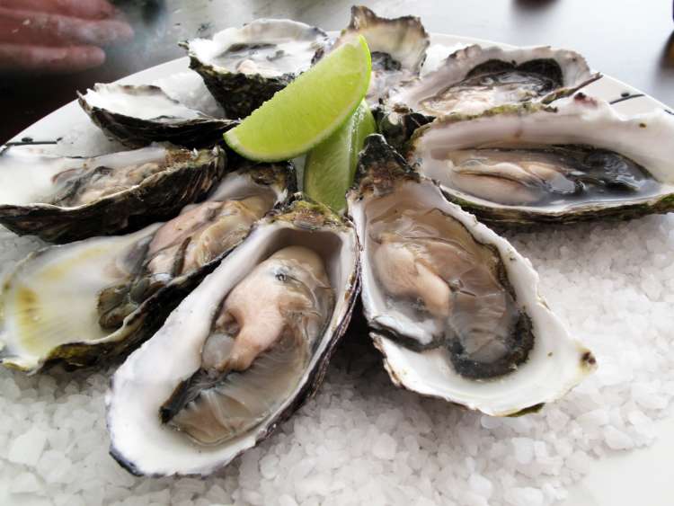 Oysters are one of the best san francisco foods