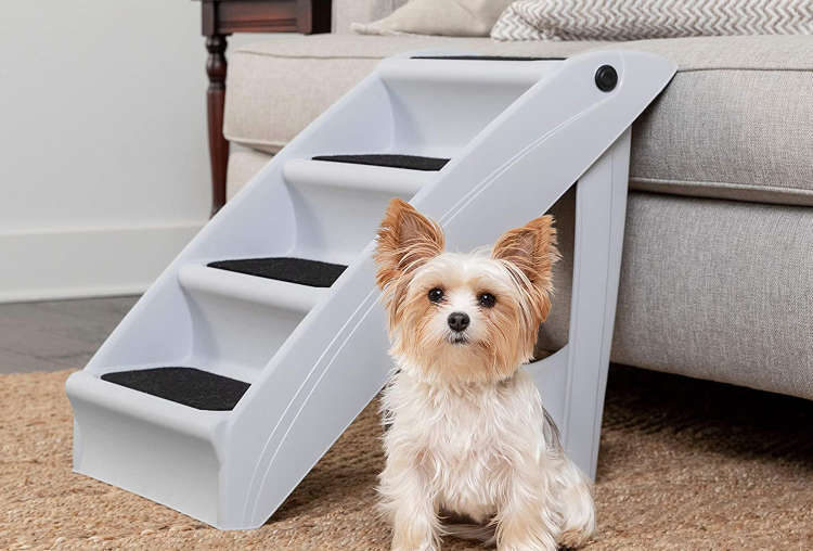 pet stairs are a useful cozy gift for pet lovers 