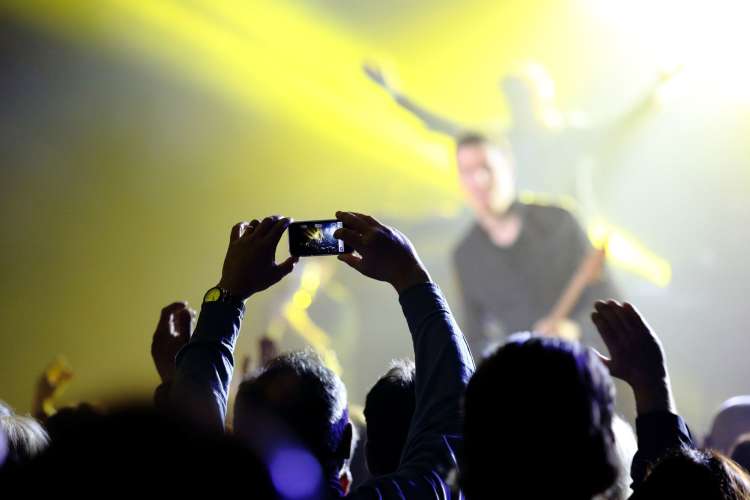 the audience at a live music concert