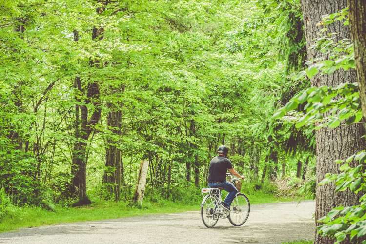 Biking in nature is a great team building activity in Mississauga.