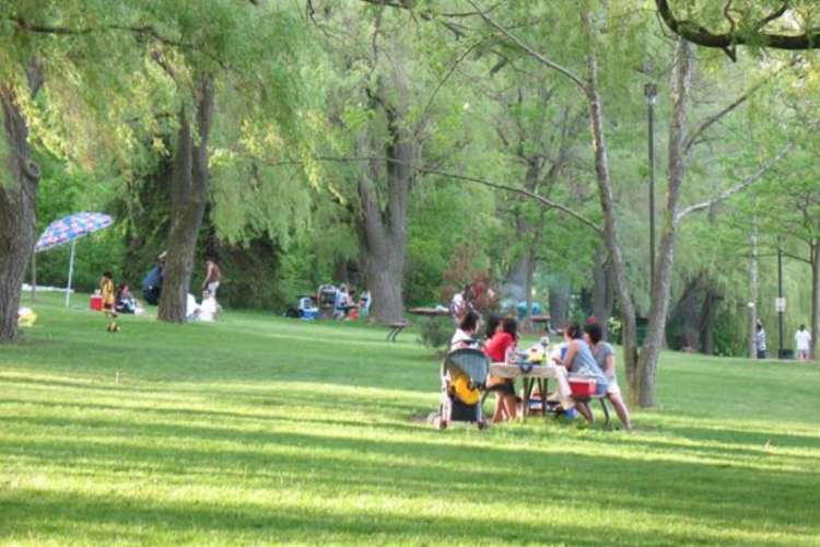 people picnicking at a park