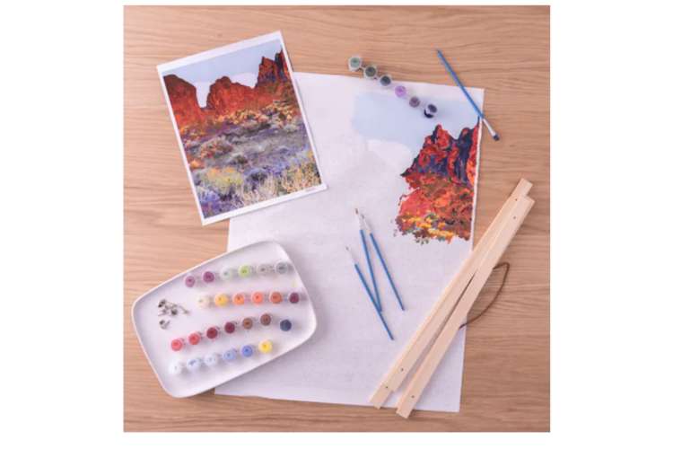 A paint-by-numbers kit is a great Christmas gift for artistic moms.