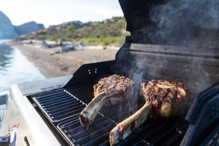 porterhouse vs. ribeye