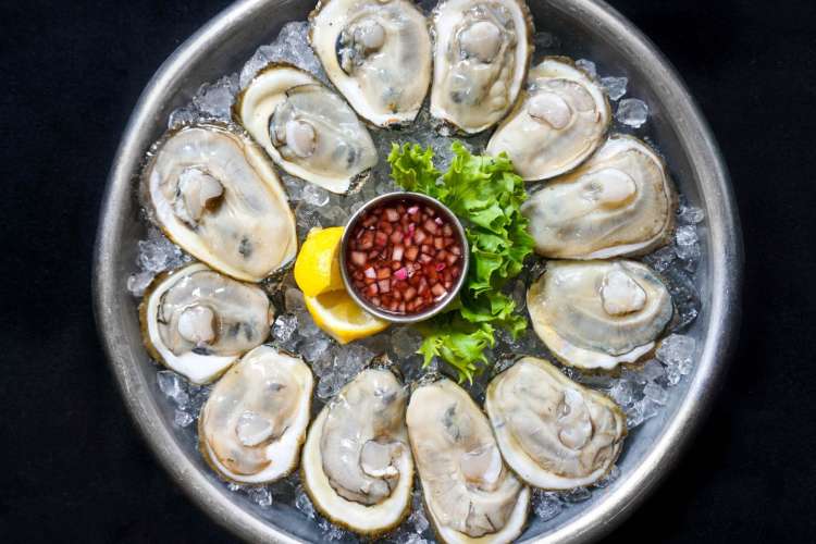 raw oysters