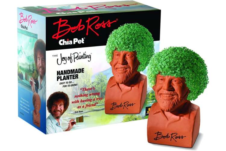 a Bob Ross chia pet