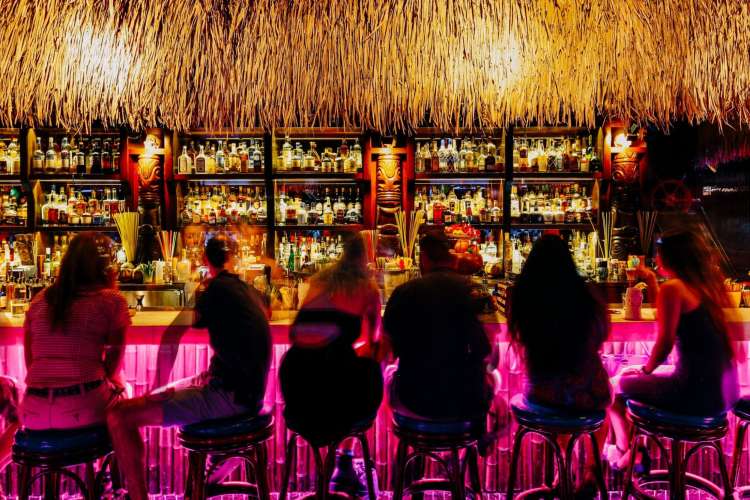 a group at a bar at a tropical themed birthday hot spot