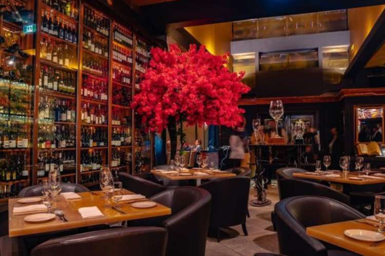 an atmospheric dining room with red plant and full bar