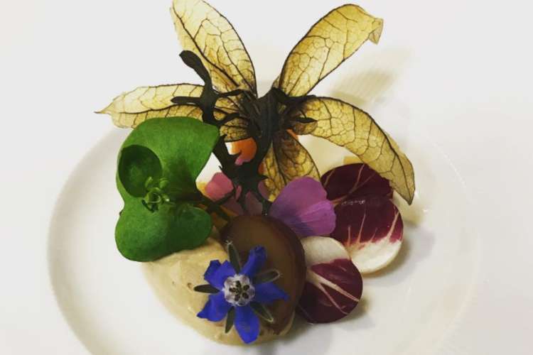 beautifully plated vegetables