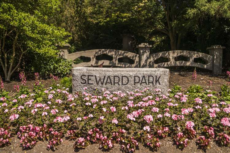 visiting seward park is a classic thing to do in seattle