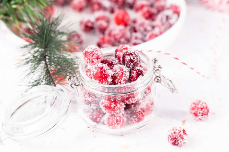 sugared cranberries are a sparkling, tart vegan christmas dessert