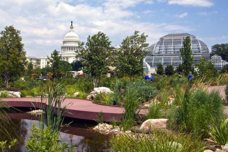 visit the u.s. botanical garden for a fun date idea in d.c.