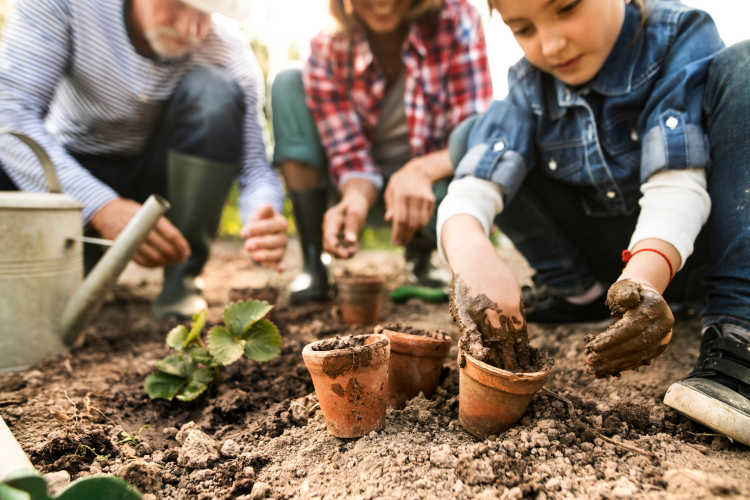 gardening together is a fun mother's day activity