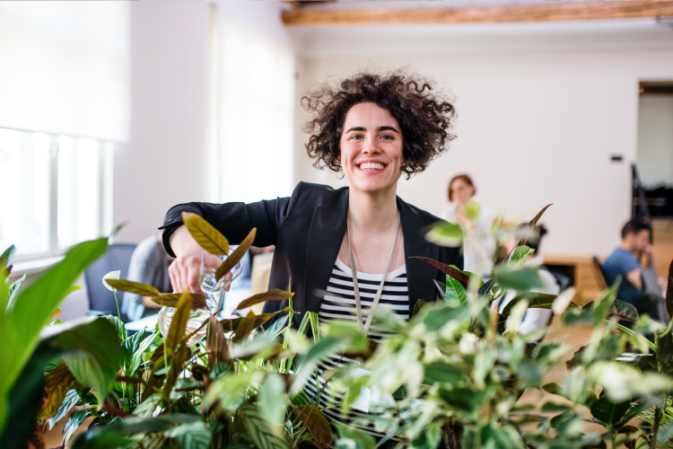 add office plants to boost morale