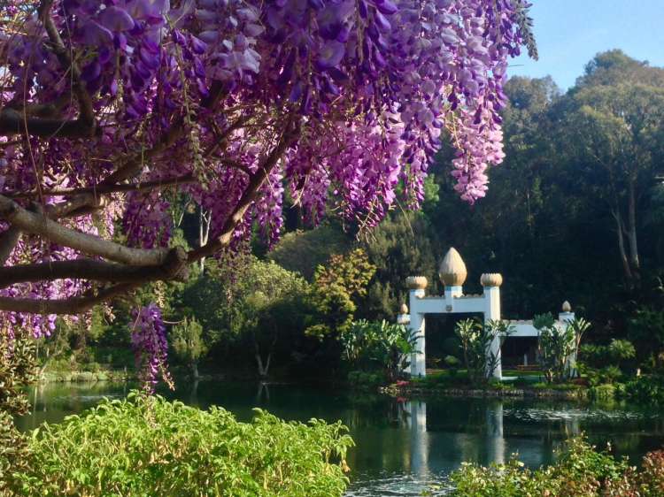 unwind at the Self-Realization Fellowship Lake Shrine