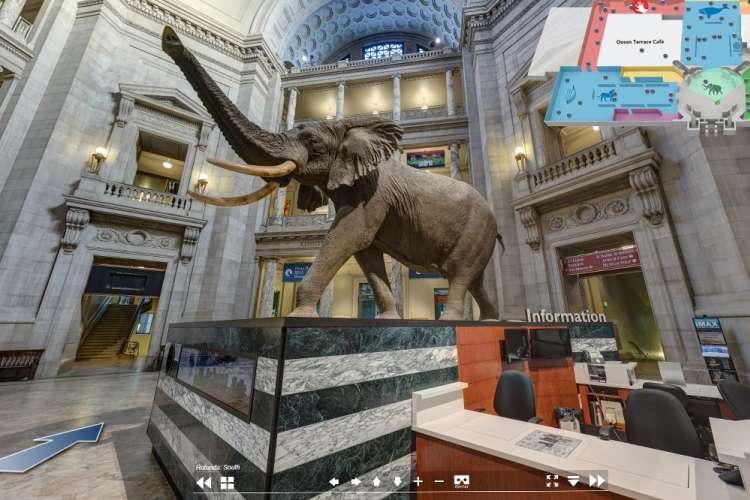 virtual museum tours are unique virtual team building activities