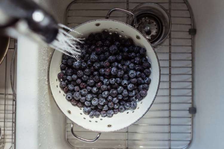 blueberry cupcakes