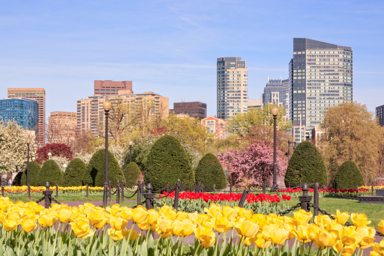 boston public garden