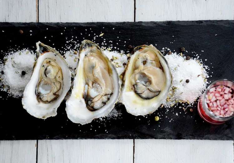 chow down on oysters for a fun date idea in boston