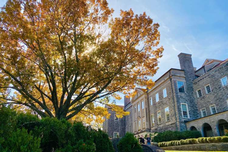 light shining through a golden leafy tree in front of cheekwood estates in nashville