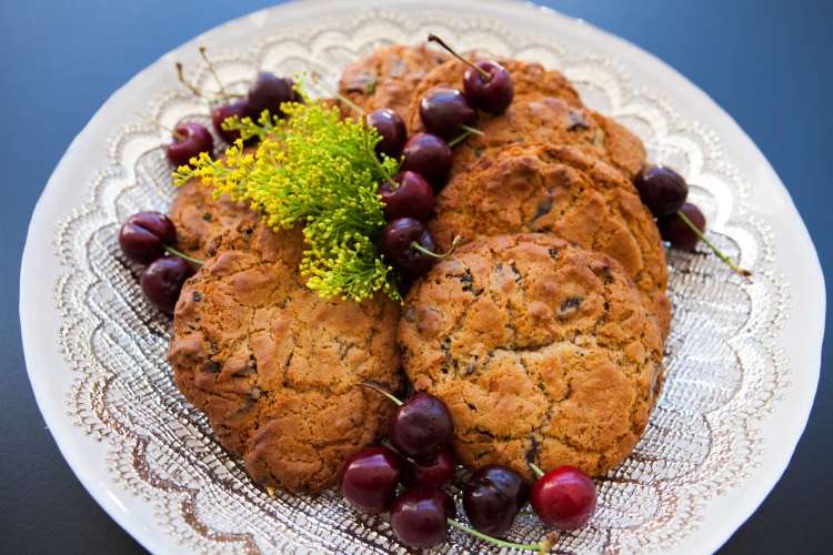 chocolate cranberry oatmeal cookies 2