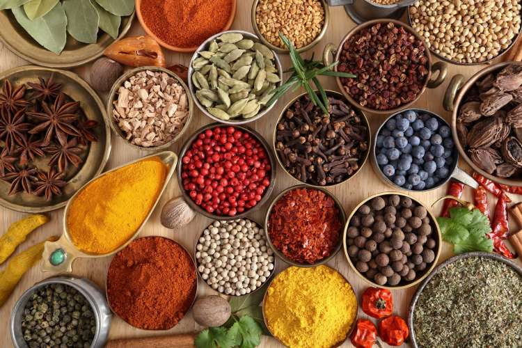 Spice it Up Foods - Conveniently Delicious Indian Cuisine – Spice