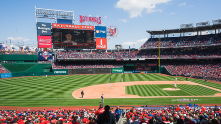 see a washington nationals game for a fun thing to do in d.c.