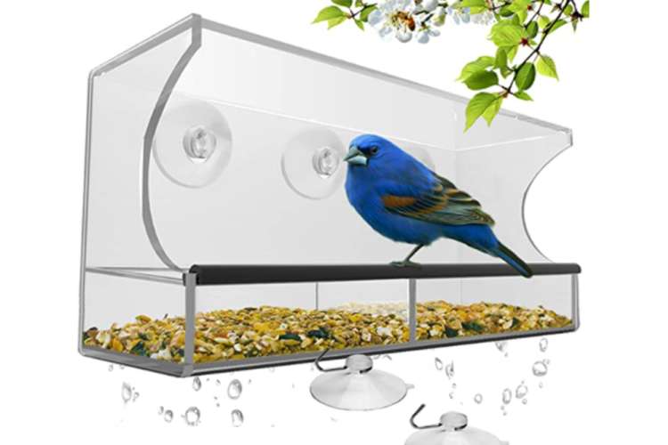 a window bird feeder full of seed and a blue bird perched eating from it