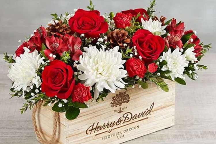 Senior Citizens Day - Just Because Flowers Gifts & More