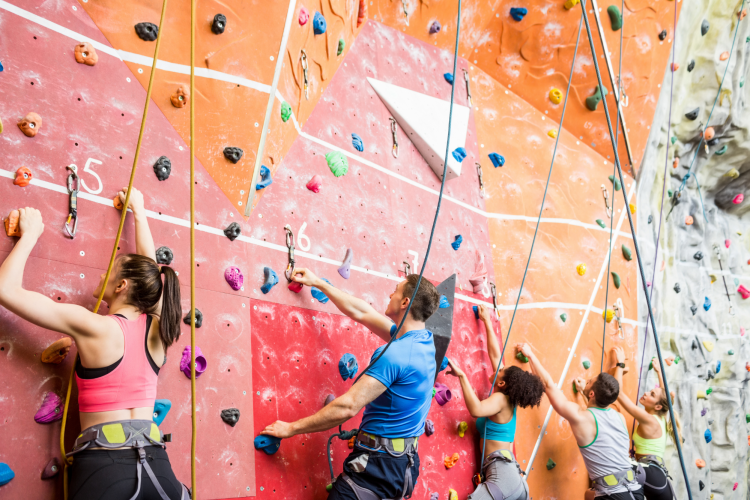 team members rock climbing