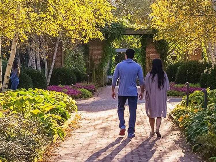 wander through a botanical garden for a fun anniversary date idea