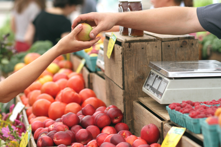 visit the farmers market for a fun thing to do in nashville