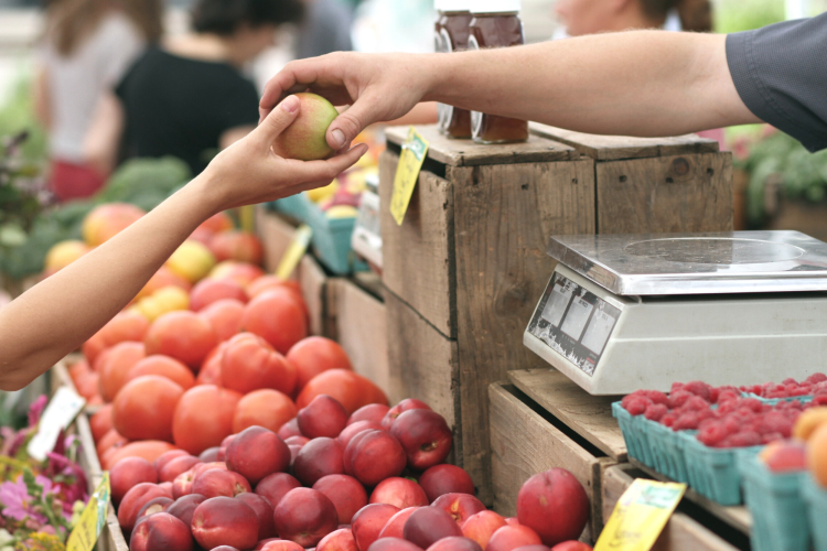 attend a farmers market for a fun thing to do in austin