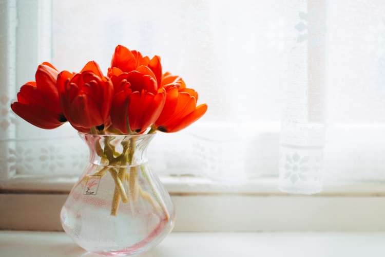 flowers with a vase are a thoughtful hostess gift