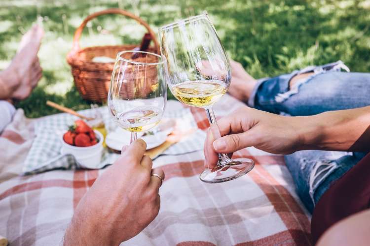 couple toasting glasses of wine while having a picnic